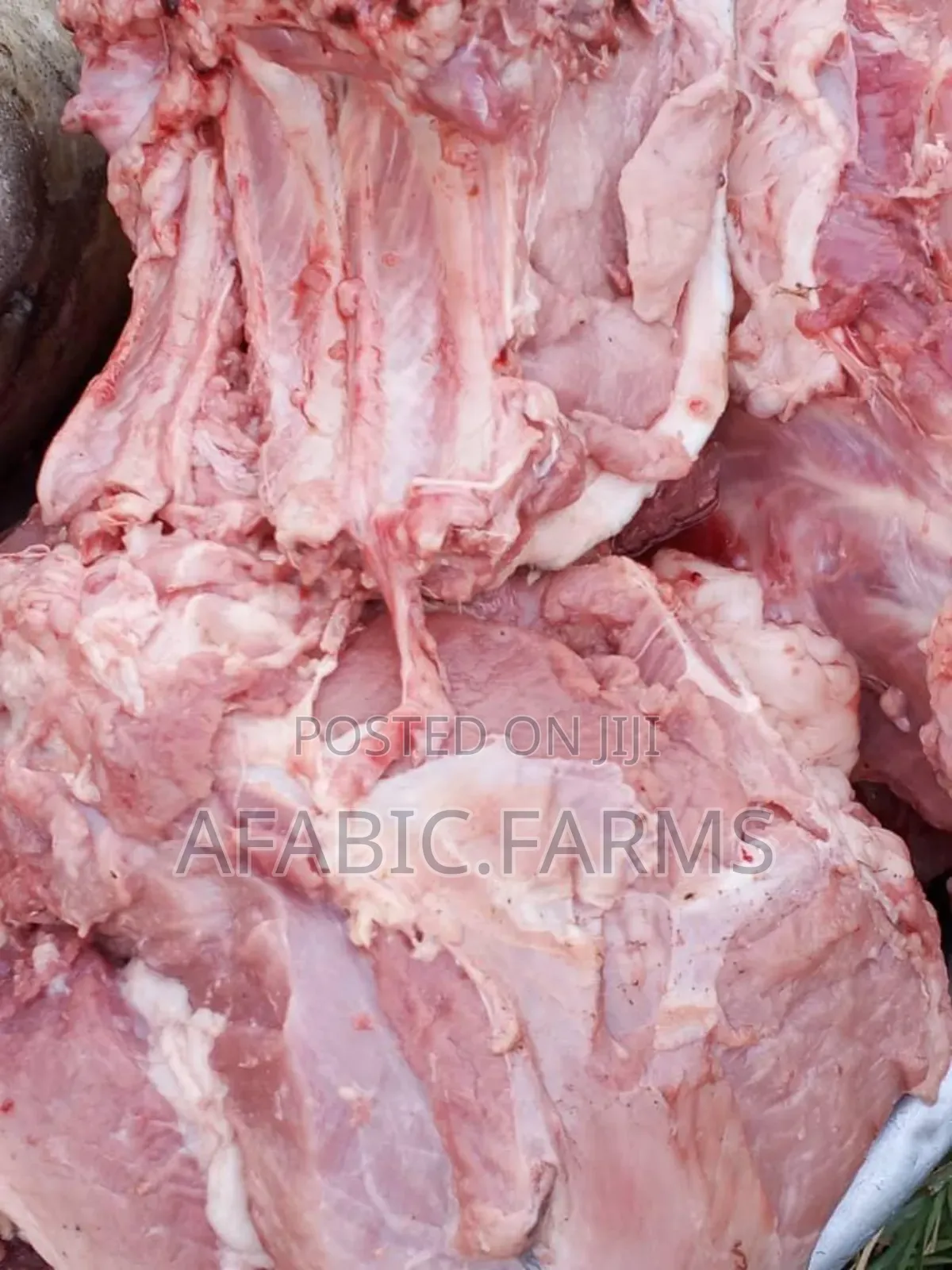 Fresh Delicious Fat Free Pork From Afabic Farms
