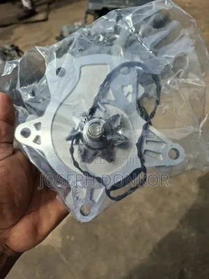 Voxy Water Pump