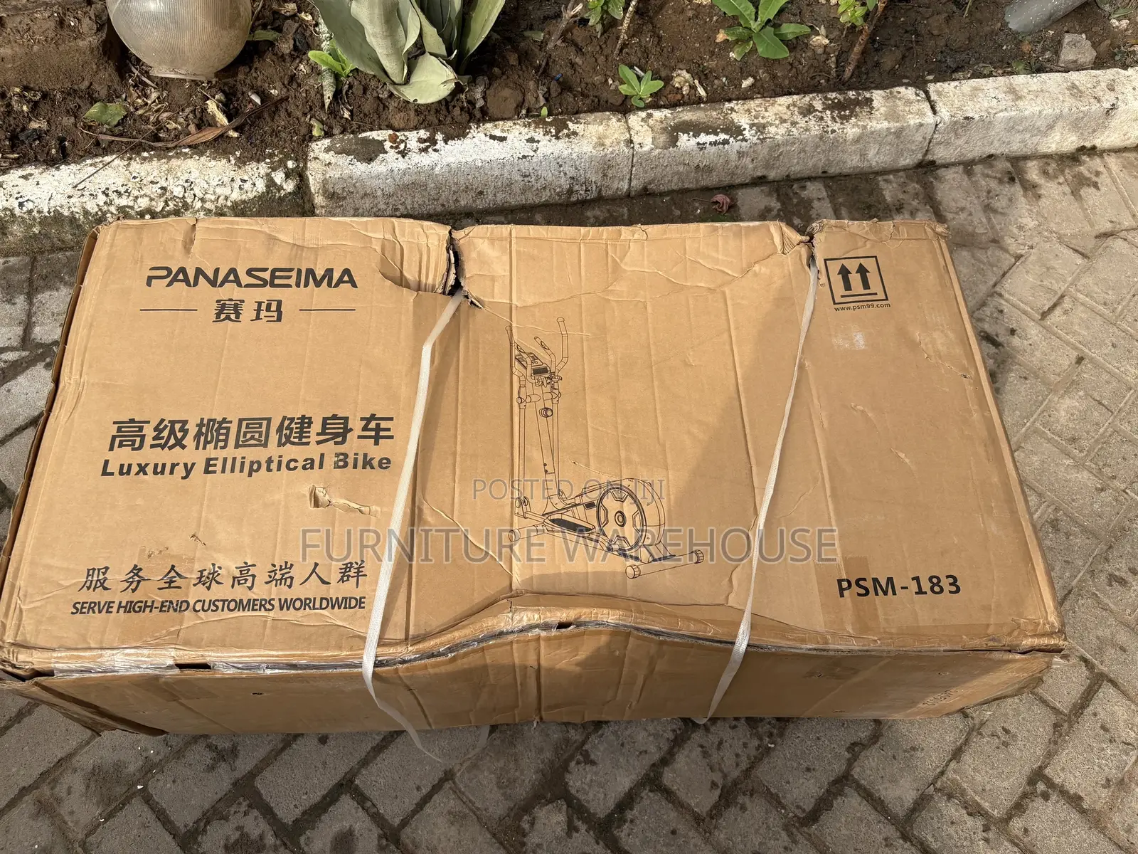 PSM-183 Magnetic Elliptical Bike