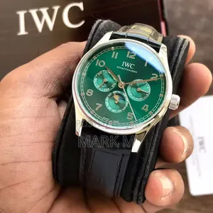 Iwc Schaffhausen Watch