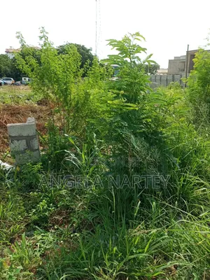TDC Documented Two Plots at Sakumono Estates
