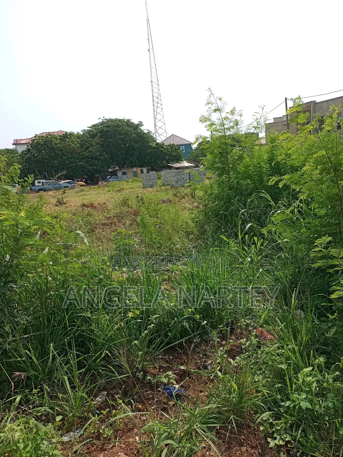 TDC Documented Two Plots at Sakumono Estates