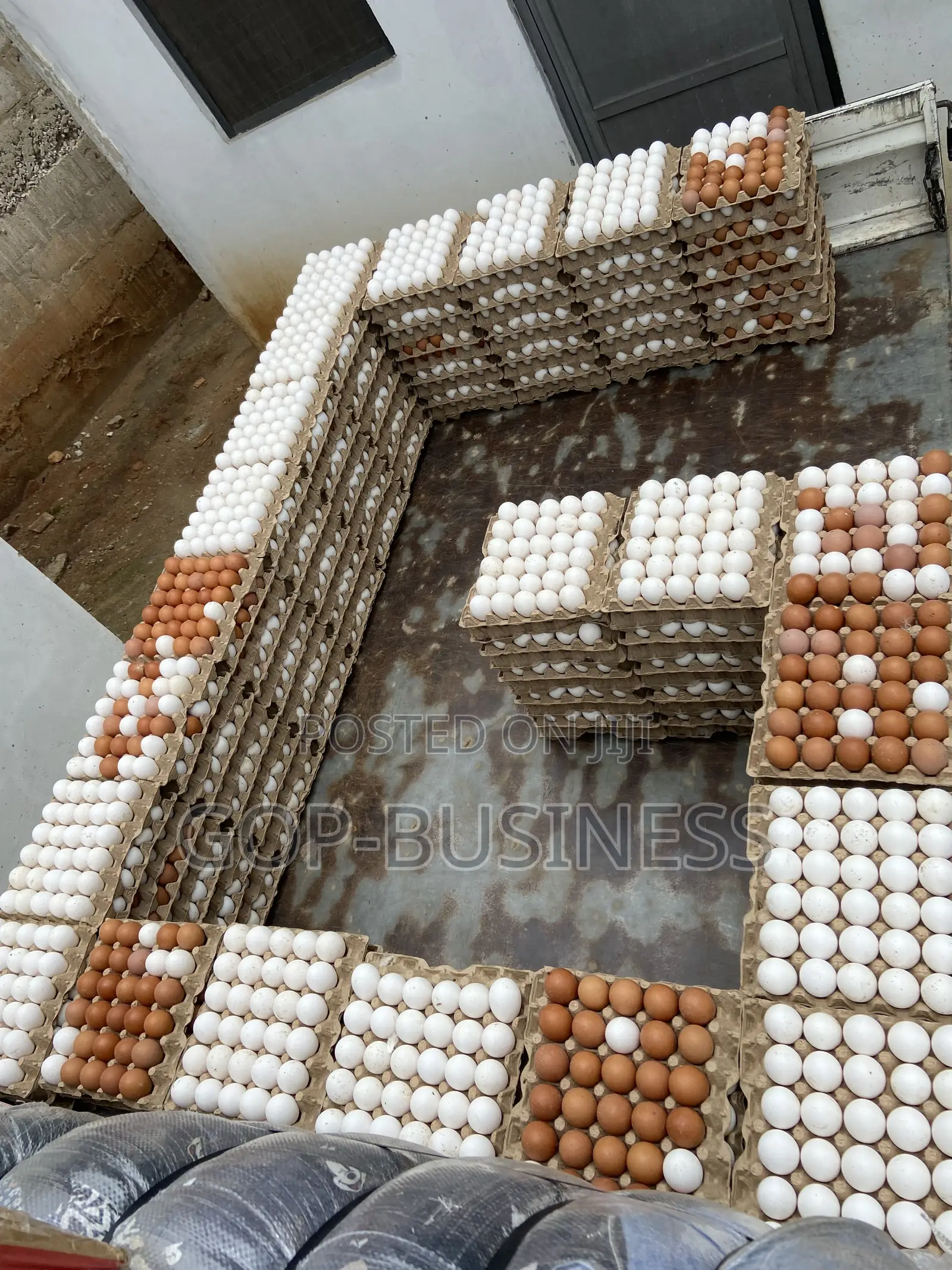Fresh Organic Eggs