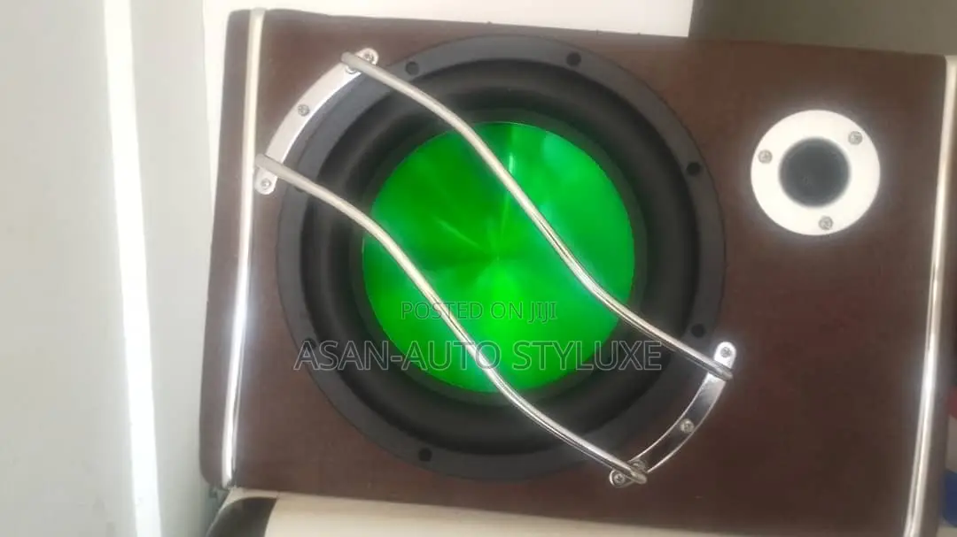 10-Inch Speaker Subwoofer With 1000w Amplifier
