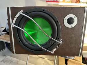 10-Inch Speaker Subwoofer With 1000w Amplifier