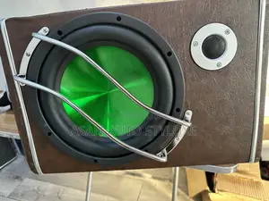 10-Inch Speaker Subwoofer With 1000w Amplifier