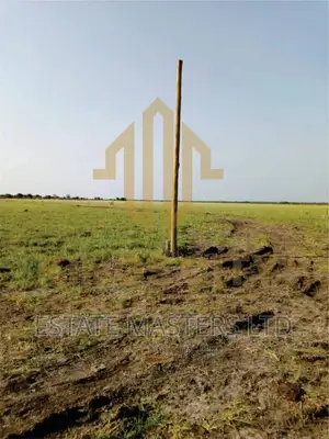 Neat Area Plot