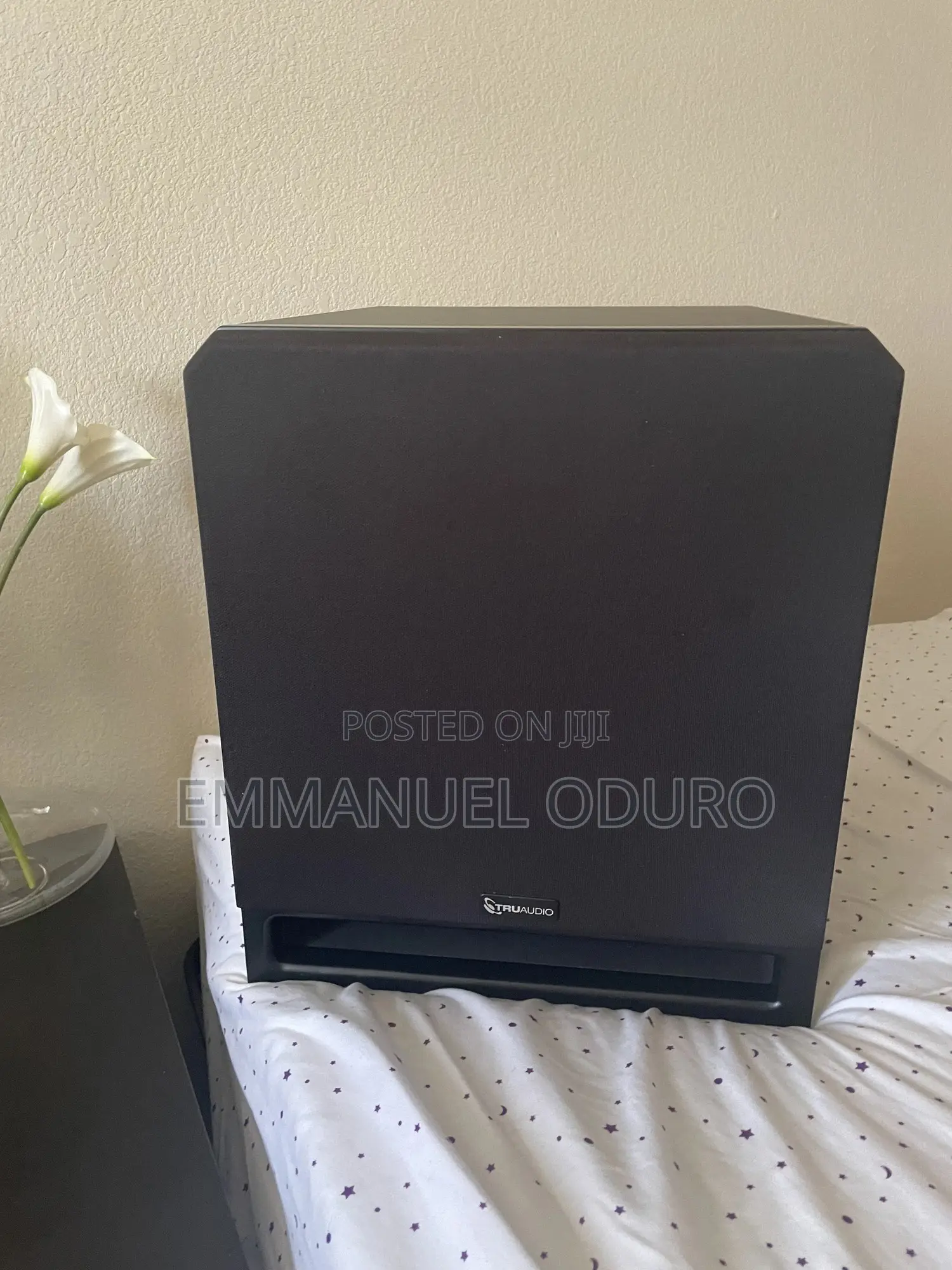 Truaudio Ss-10 Active Subwoofer
