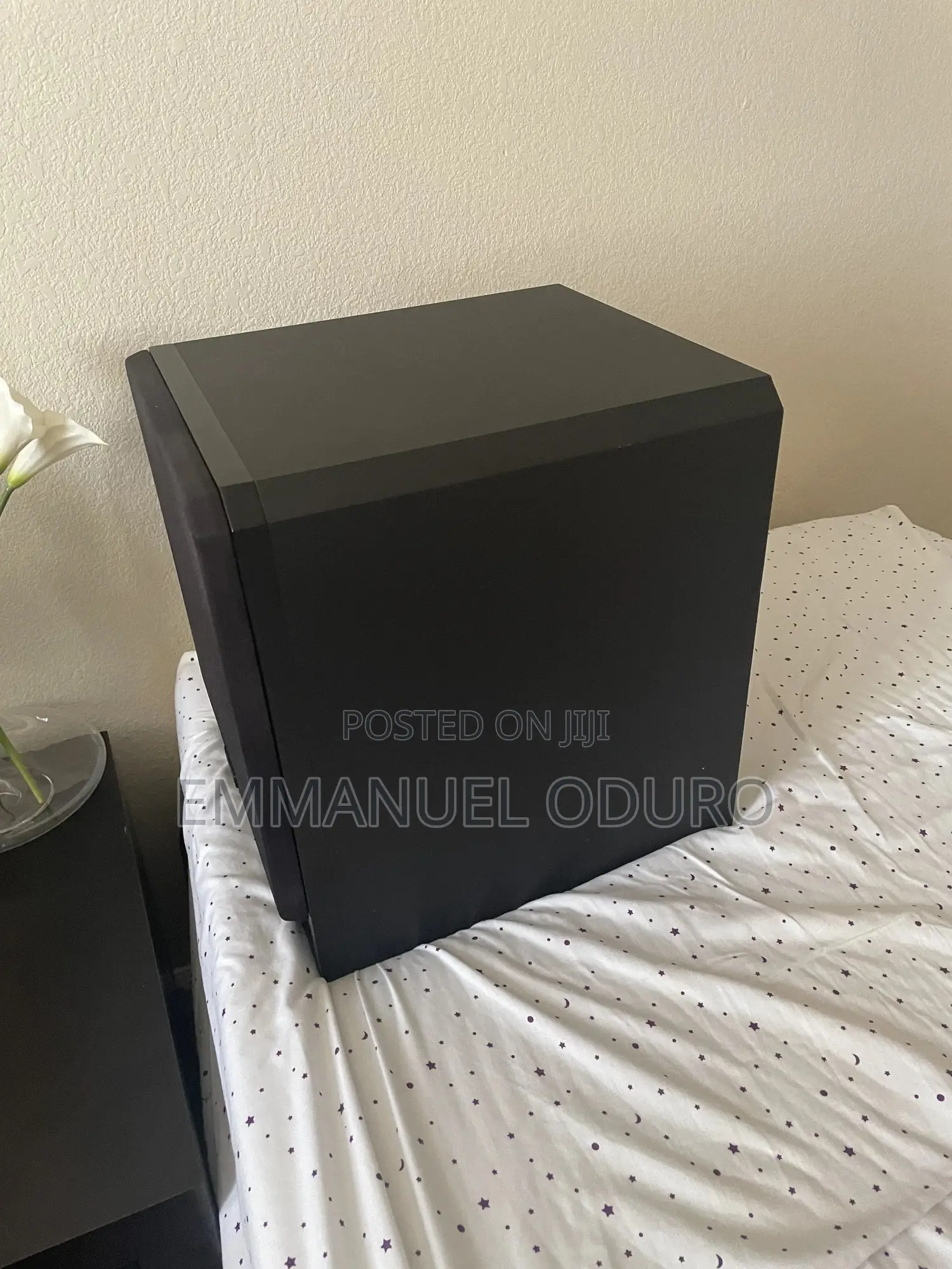 Truaudio Ss-10 Active Subwoofer