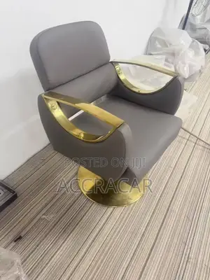 Salon And Barbers Chair