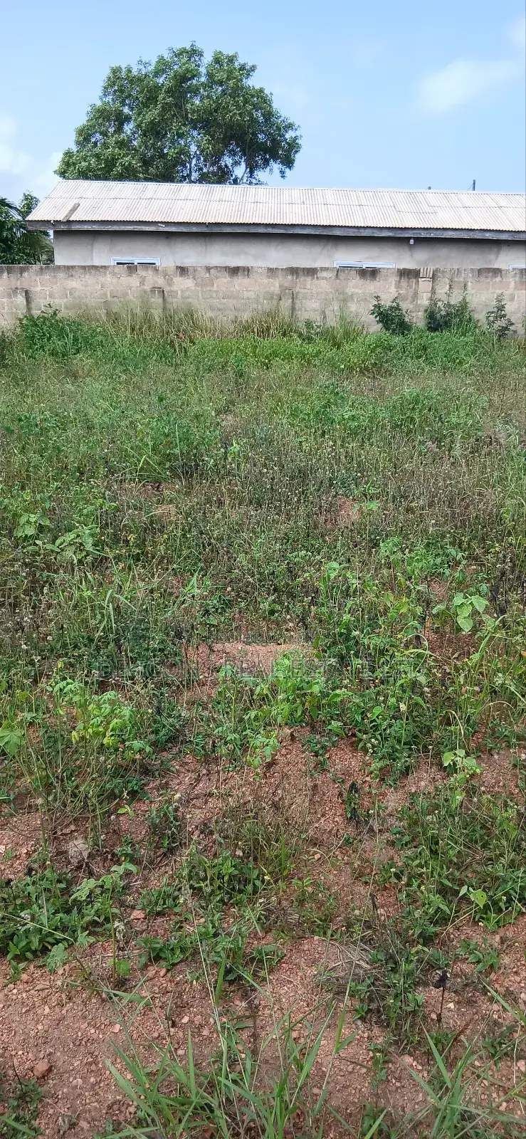 Registered Fenced Plots of Land in Kasoa - Dawa /Nyanyano Beach Sale