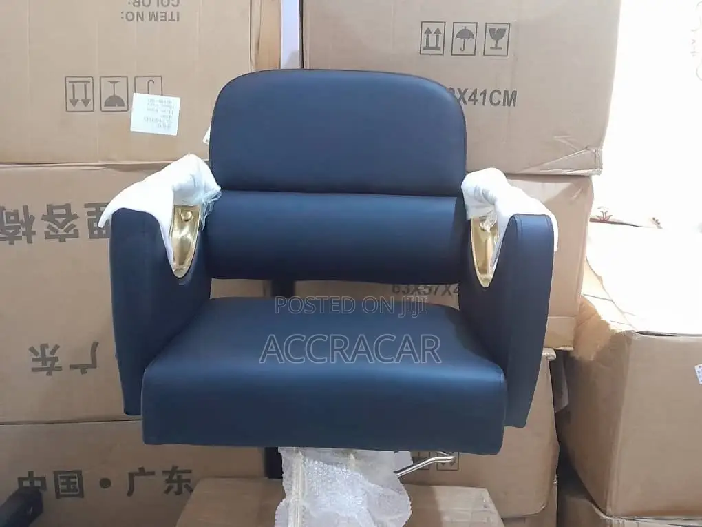 Salon And Barbers Chair