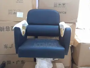 Salon And Barbers Chair