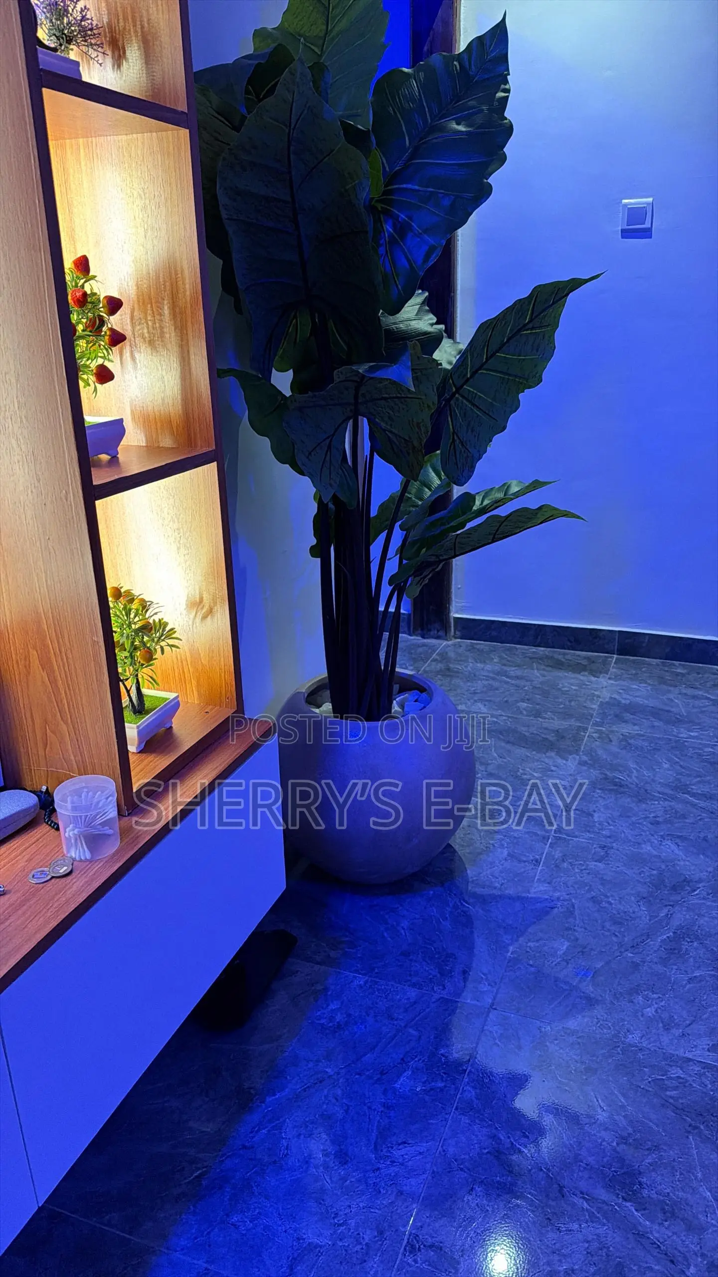 Rainbow Taro Artificial Plant