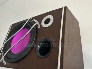 10-Inch Car Subwoofer 12v 1000w