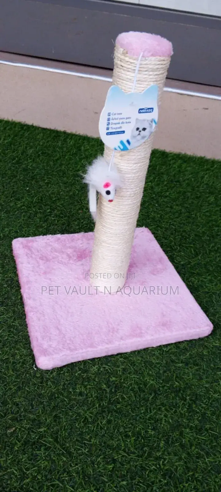 Cats Scratch Post