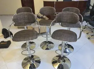 Salon Chairs