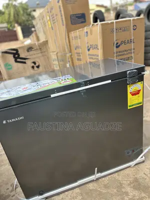 Tamashi 250 L Freezer