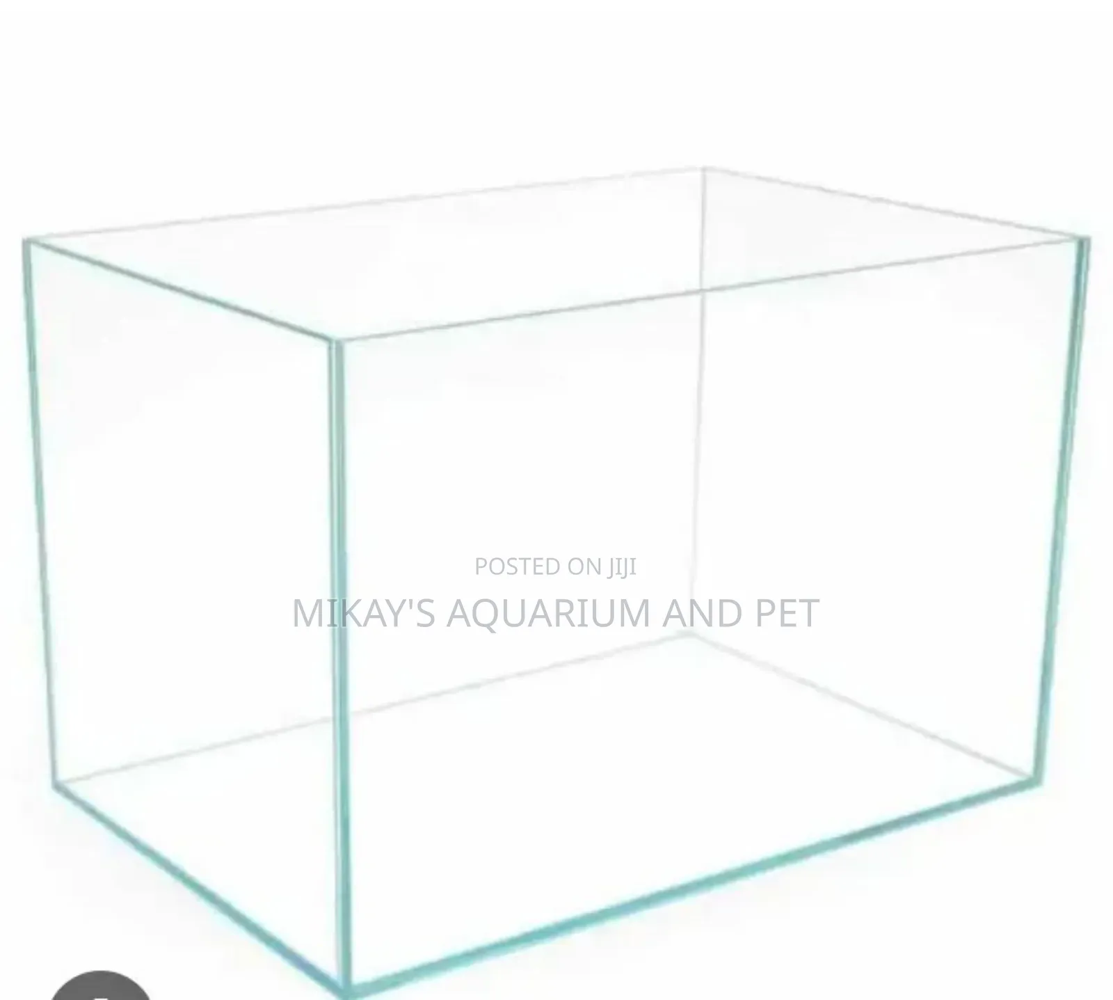 Aquarium Glass Tank