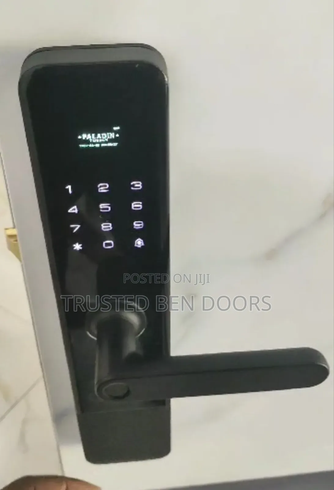Paladin Turkey Security And Wooden Smart Biometric Lock For All Doors
