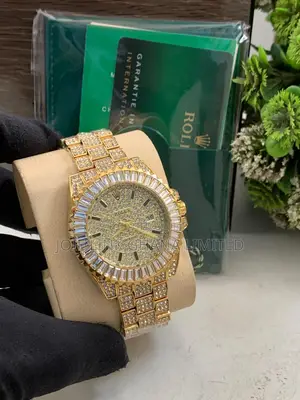 Rolex Watch Ice Out