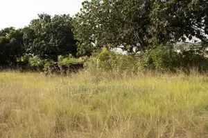 Genuine Titled Land for Sale at Dodowa