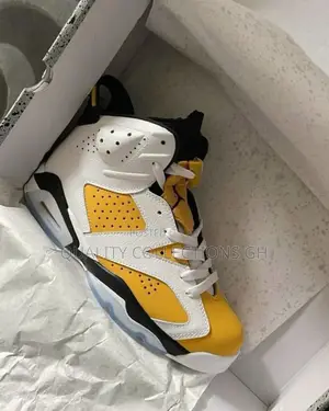Air Jordan 6