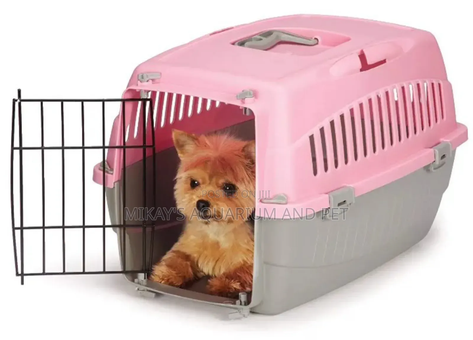 Medium Plastic Dog and Cat Traveller