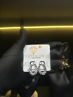 Ladies Stainless Steel Hoops