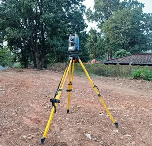 Professional Surveying Services