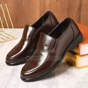 Men Pu Shoe in Box Coffee Colour