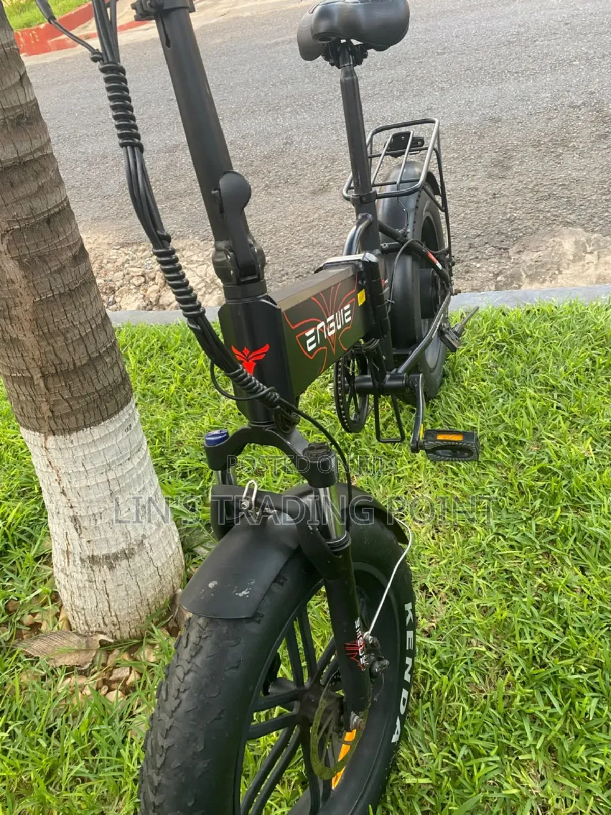 Enguie Folding Electric Bike