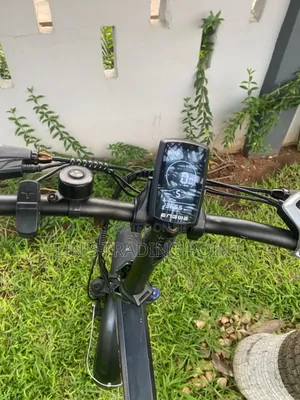 Enguie Folding Electric Bike