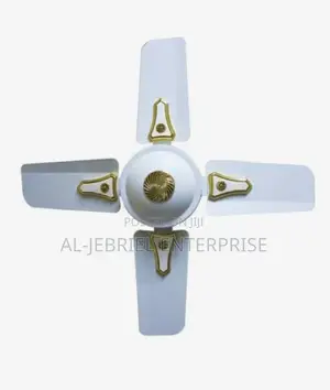 Delron Ceiling Fan 24”