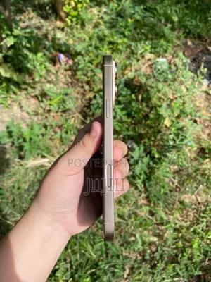 Apple iPhone 16 Pro Max 256 GB Gold