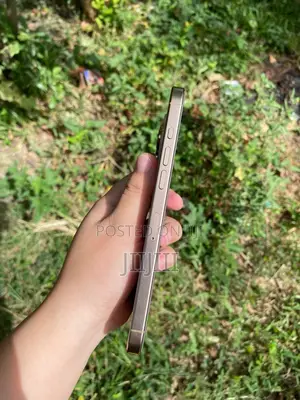 Apple iPhone 16 Pro Max 256 GB Gold