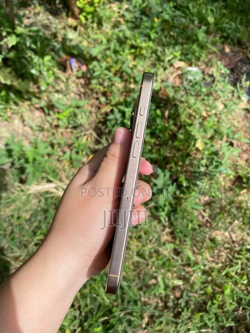 Apple iPhone 16 Pro Max 256 GB Gold