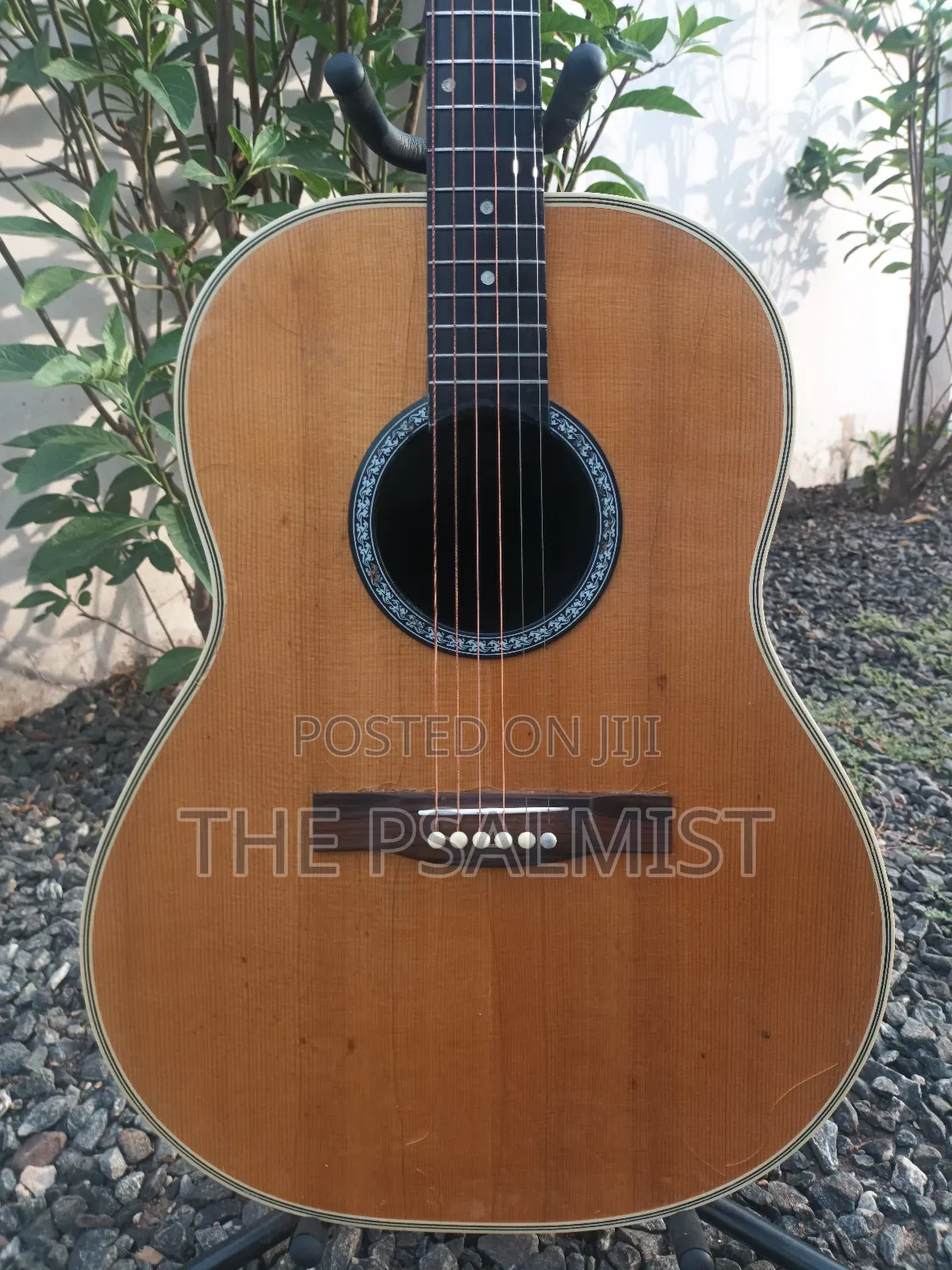 Ovation 08371 Customized Acoustic Guitar