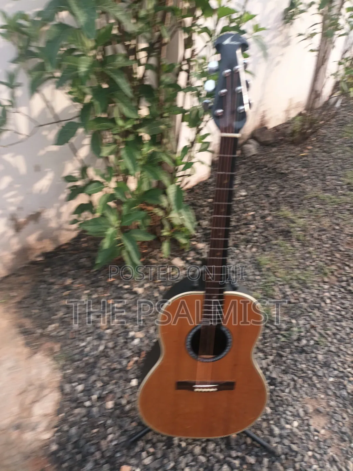 Ovation 08371 Customized Acoustic Guitar