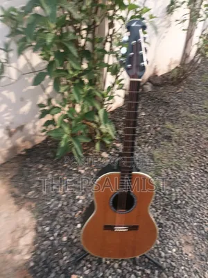Ovation 08371 Customized Acoustic Guitar