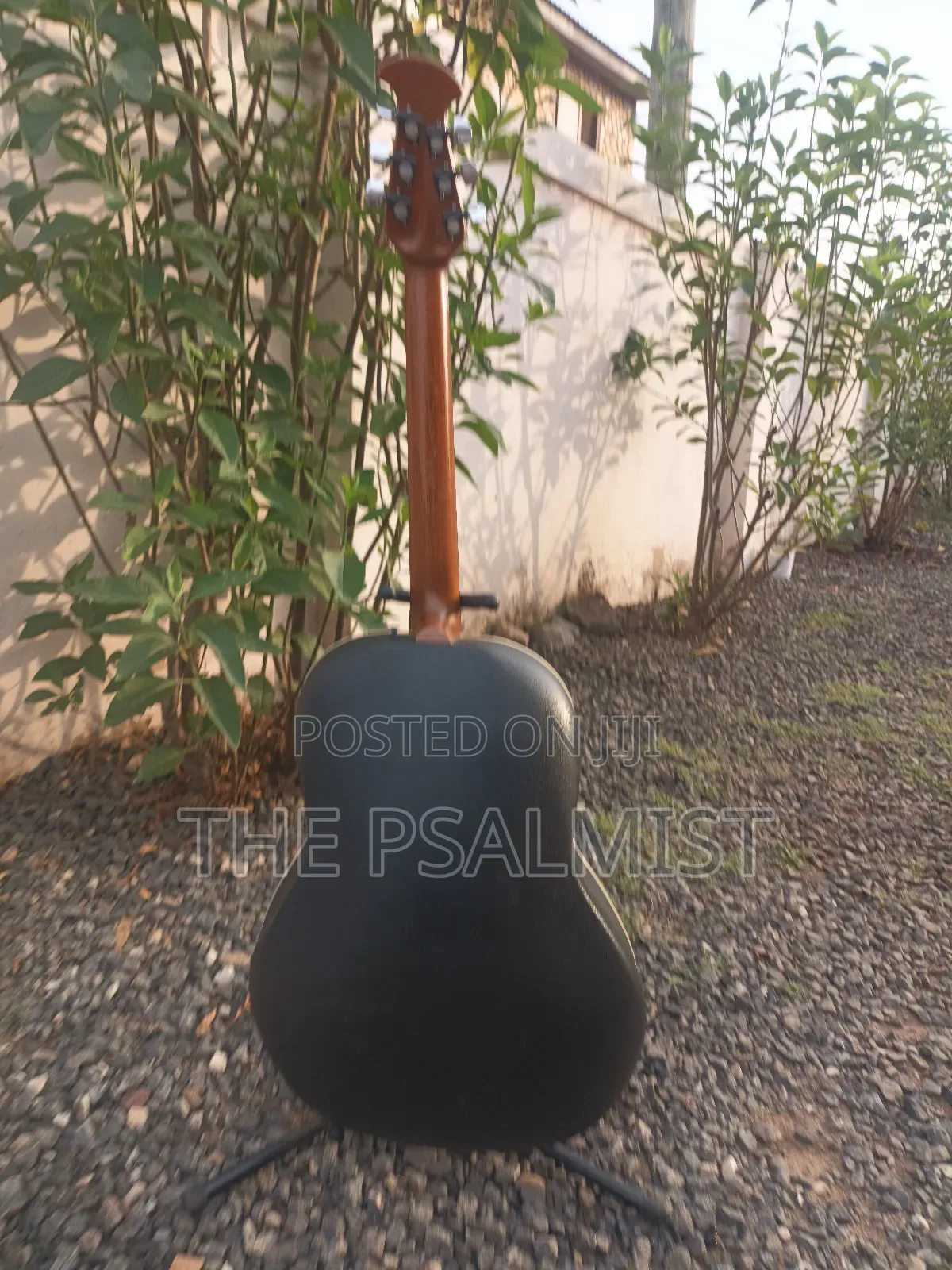 Ovation 08371 Customized Acoustic Guitar