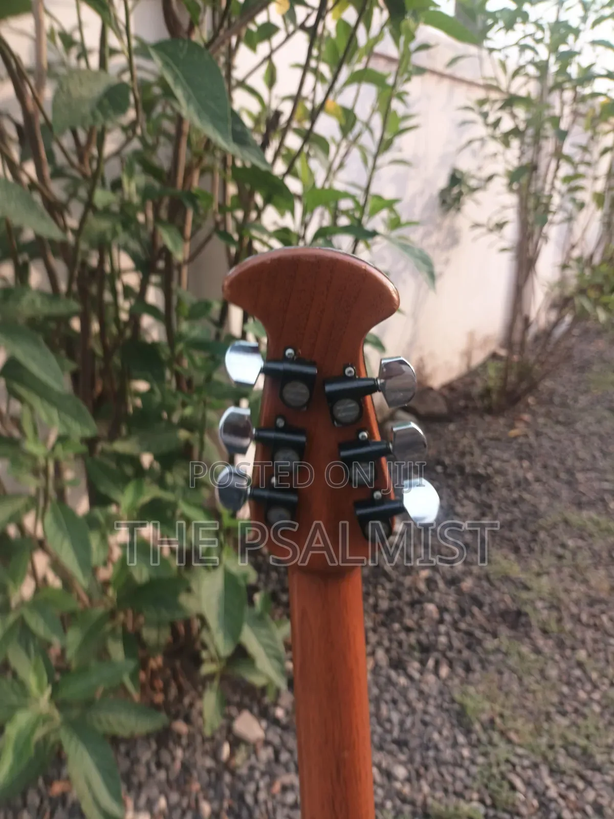 Ovation 08371 Customized Acoustic Guitar