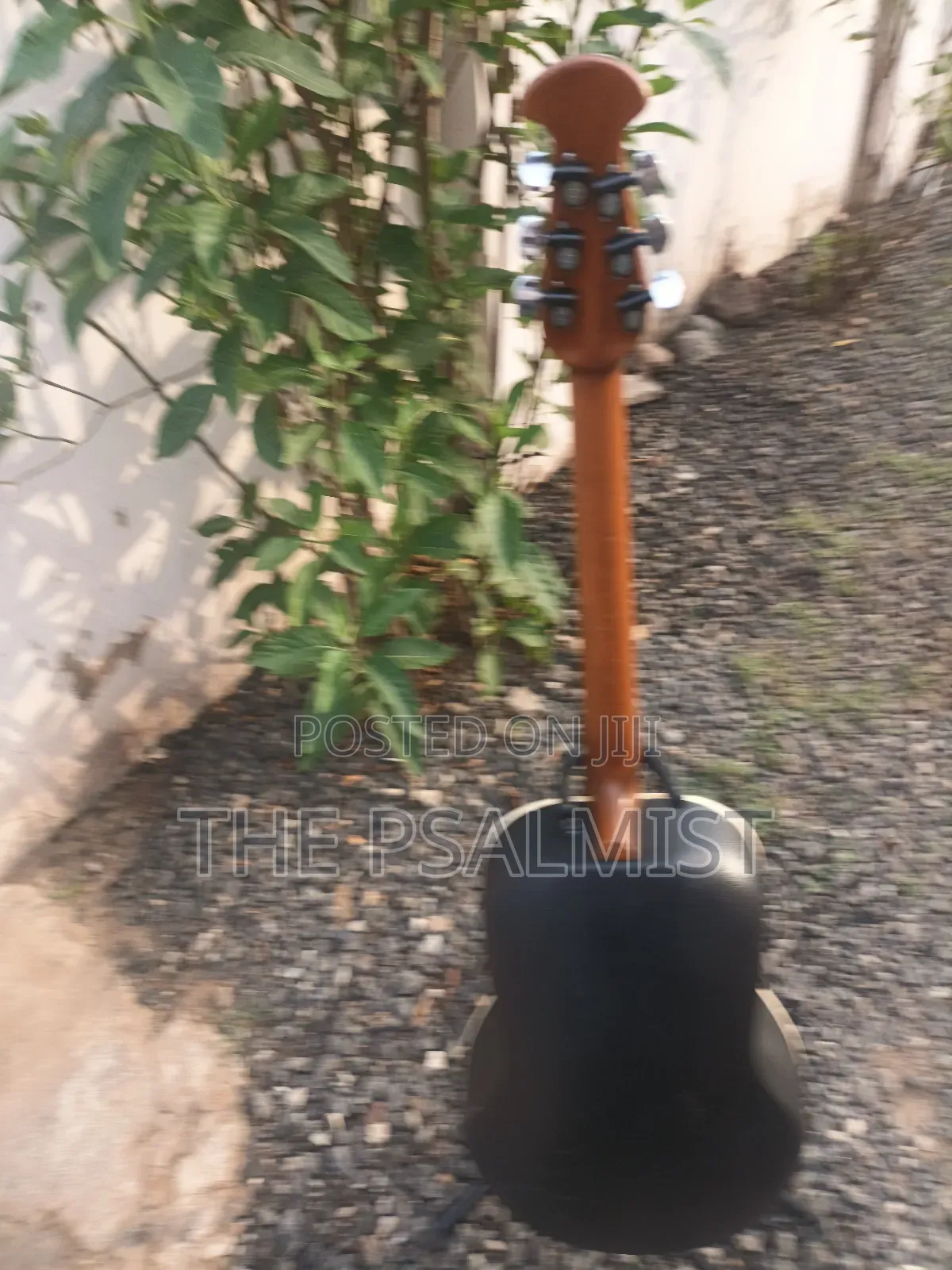 Ovation 08371 Customized Acoustic Guitar