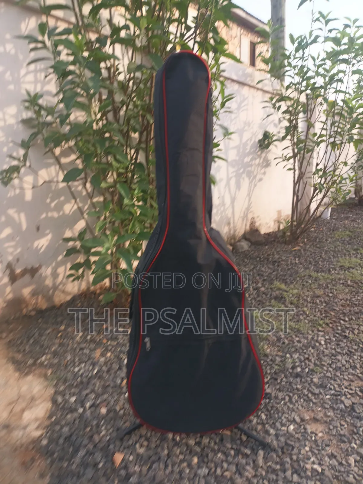 Ovation 08371 Customized Acoustic Guitar