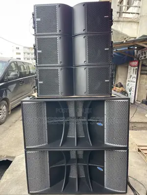Professional Line Array Speakers and Subwoofers.