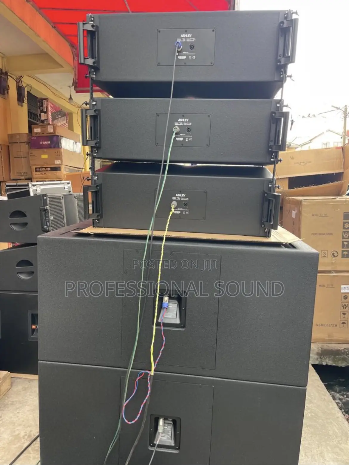 Professional Line Array Speakers and Subwoofers.