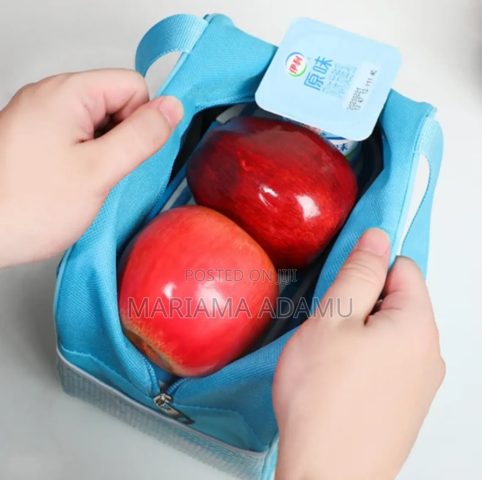 Portable Lunch Bags