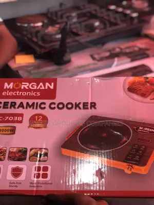 Ceramic Cooker