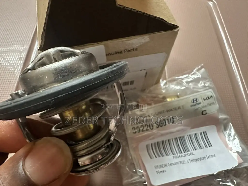 Genuine Hyundai Oem 25500-2gga0 Thermostat