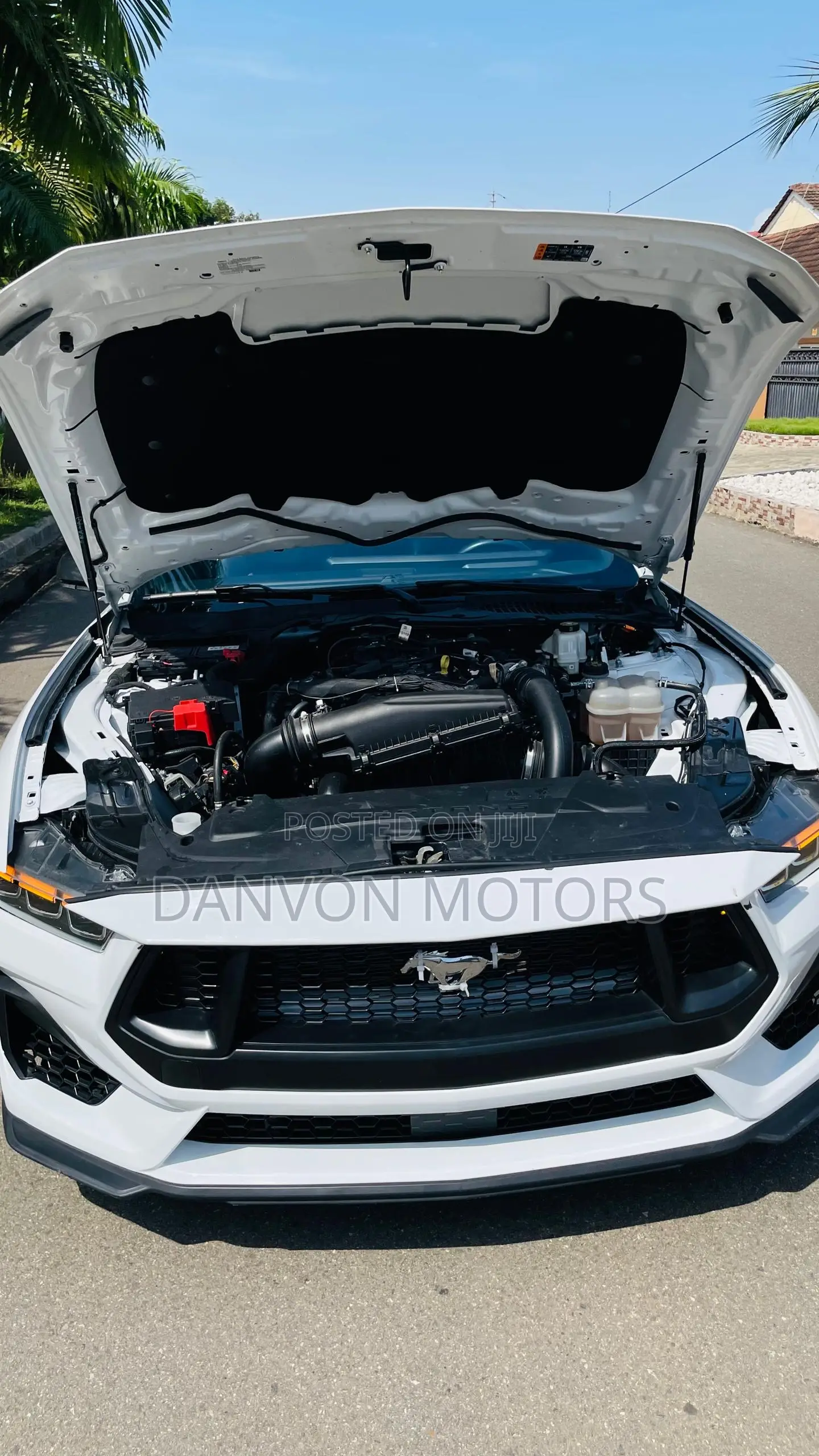 Ford Mustang EcoBoost 2024 White